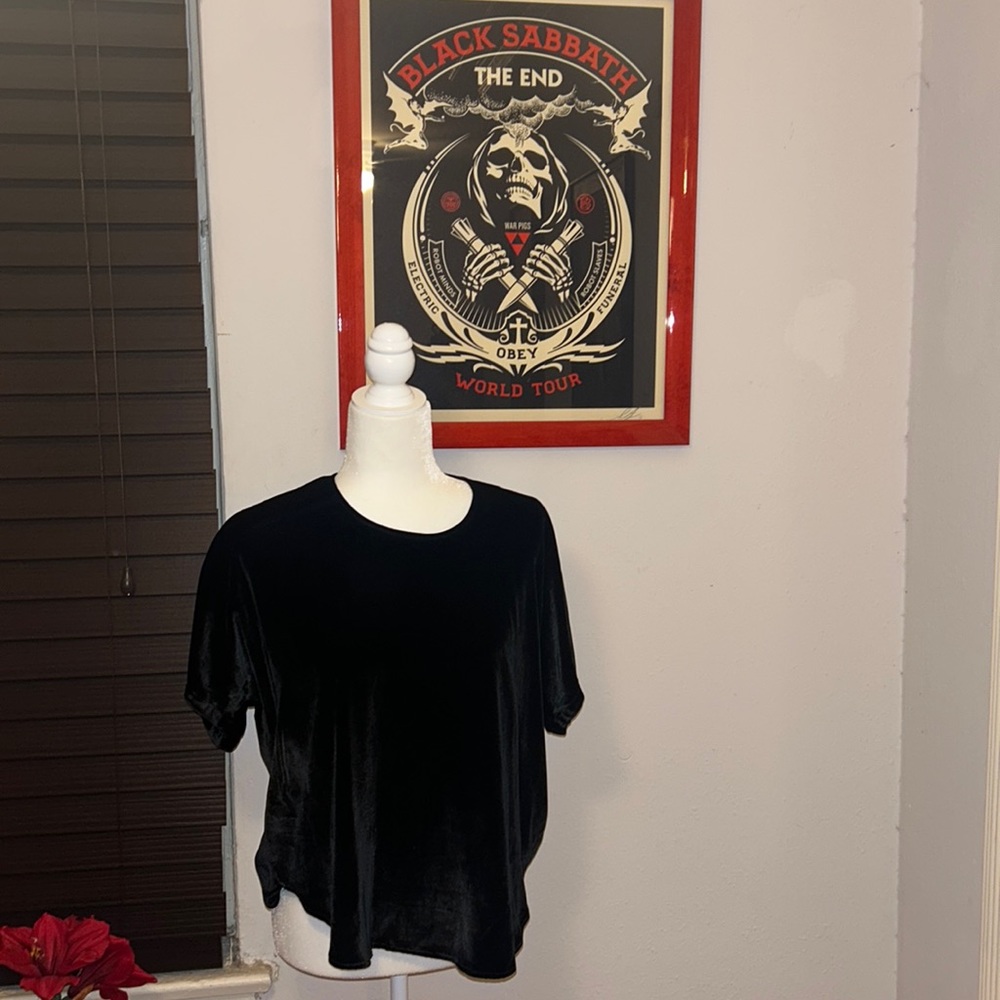 Madewell velvet blouse